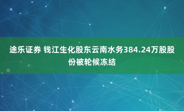 途乐证券 钱江生化股东云南水务384.24万股股份被轮候冻结