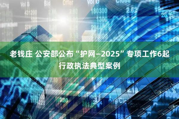 老钱庄 公安部公布“护网—2025”专项工作6起行政执法典型案例