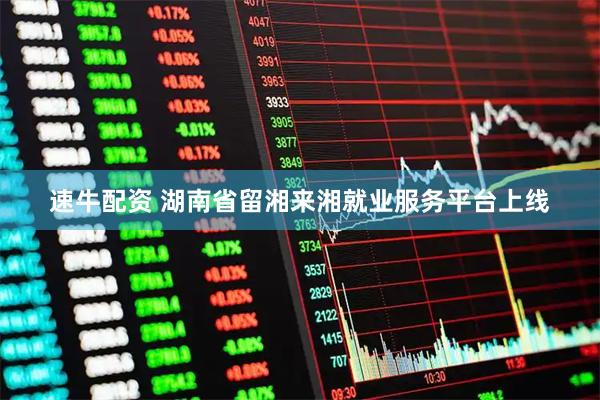 速牛配资 湖南省留湘来湘就业服务平台上线