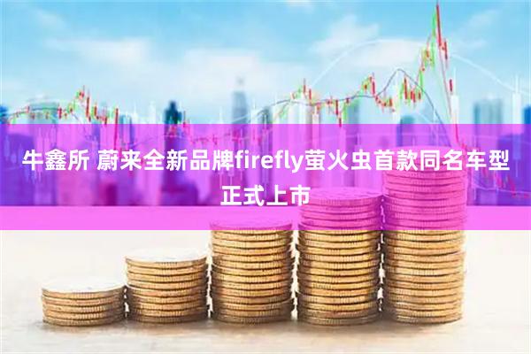 牛鑫所 蔚来全新品牌firefly萤火虫首款同名车型正式上市