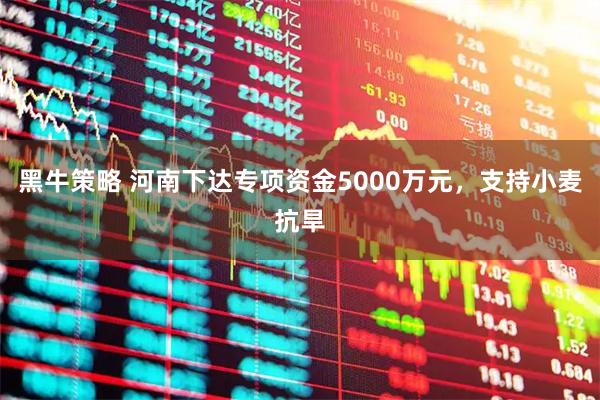 黑牛策略 河南下达专项资金5000万元，支持小麦抗旱