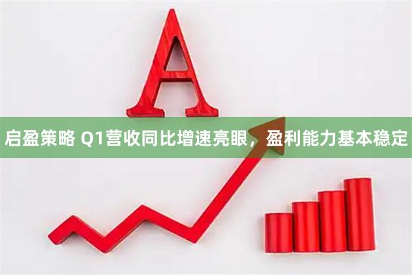 启盈策略 Q1营收同比增速亮眼，盈利能力基本稳定