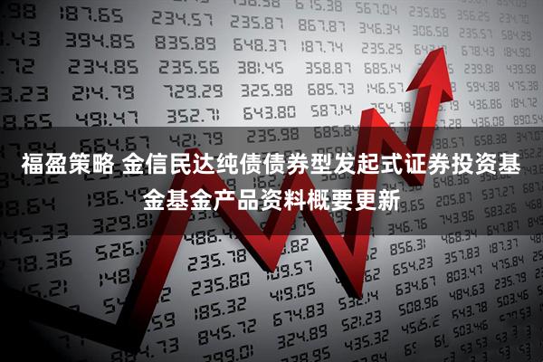 福盈策略 金信民达纯债债券型发起式证券投资基金基金产品资料概要更新