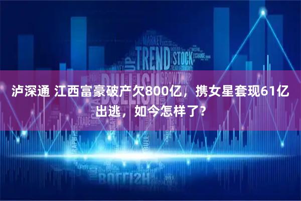 泸深通 江西富豪破产欠800亿，携女星套现61亿出逃，如今怎样了？