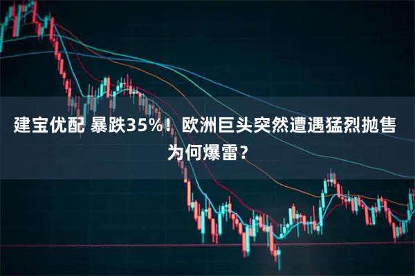 建宝优配 暴跌35%！欧洲巨头突然遭遇猛烈抛售 为何爆雷？